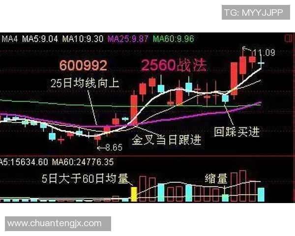 深入分析武汉乒乓球队反击打法的战术特点与实战应用