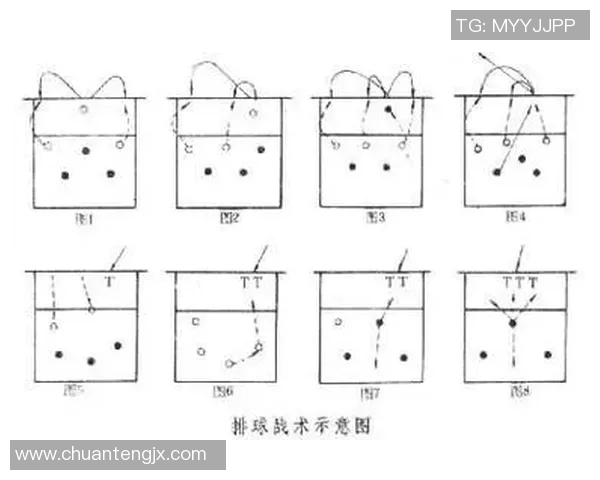 实时新闻深圳排球队中路突破战术解析与实战应用探讨 实时新闻深圳排球队中路突破战术解析与实战应用探讨